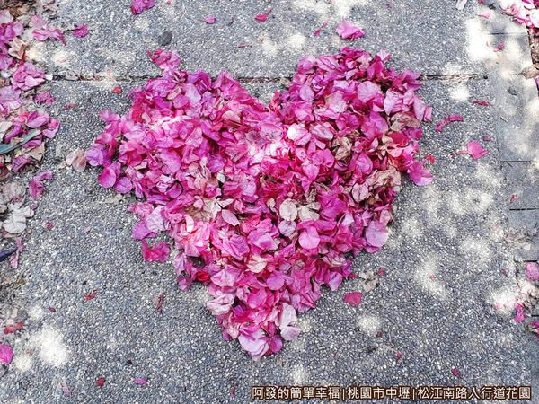 松江南路小花園19-堆成愛心的落花.jpg