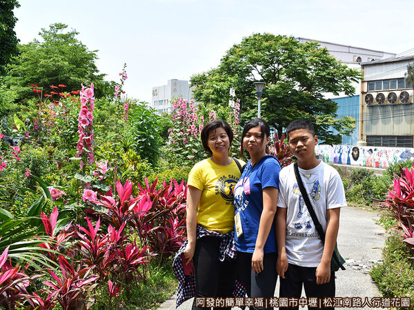 松江南路小花園06-蜀葵花圃前留影.JPG