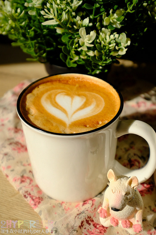  @強生與小吠的Hyper人蔘~