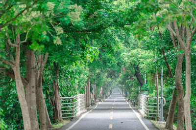 中壢社大週四趴趴走[潭雅神綠園道]瀟灑走一回