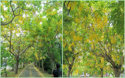 中壢社大週四趴趴走[潭雅神綠園道]瀟灑走一回