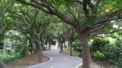 中壢社大週四趴趴走[潭雅神綠園道]瀟灑走一回