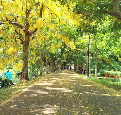 中壢社大週四趴趴走[潭雅神綠園道]瀟灑走一回