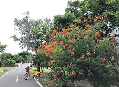 中壢社大週四趴趴走[潭雅神綠園道]瀟灑走一回