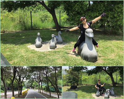 中壢社大週四趴趴走[潭雅神綠園道]瀟灑走一回