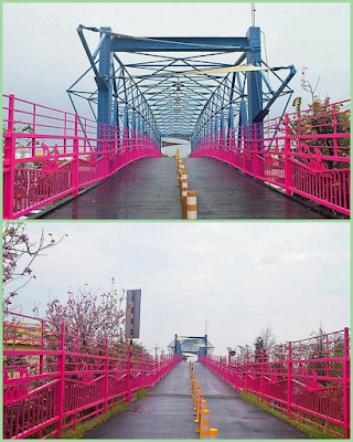 中壢社大週四趴趴走[潭雅神綠園道]瀟灑走一回