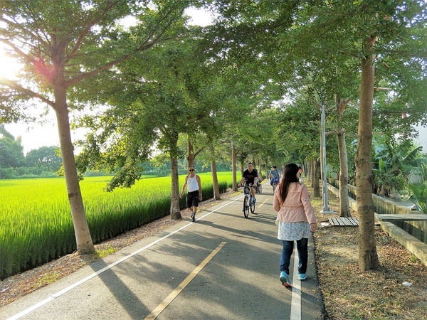 潭雅神綠園道:【台中潭雅景點】潭雅神綠園道~自行車專用道S彎道4K+900 波浪道5K+100處擁有不同視野