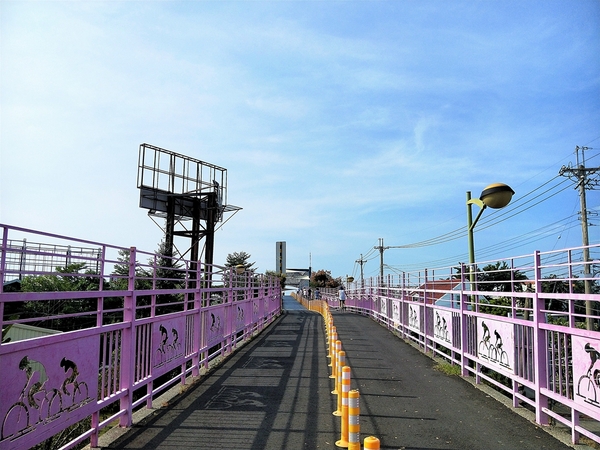 潭雅神綠園道:【台中潭雅景點】潭雅神綠園道~自行車專用道S彎道4K+900 波浪道5K+100處擁有不同視野