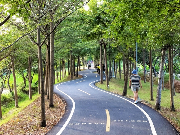 潭雅神綠園道:【台中潭雅景點】潭雅神綠園道~自行車專用道S彎道4K+900 波浪道5K+100處擁有不同視野
