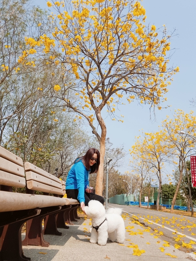 246758.jpg - 【台中.神岡區】潭雅神綠園道自行車。推逍遙鐵馬租車店。有親子車可載中型犬+協力車超好騎上坡都沒問題