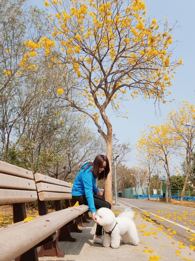 246759.jpg - 【台中.神岡區】潭雅神綠園道自行車。推逍遙鐵馬租車店。有親子車可載中型犬+協力車超好騎上坡都沒問題