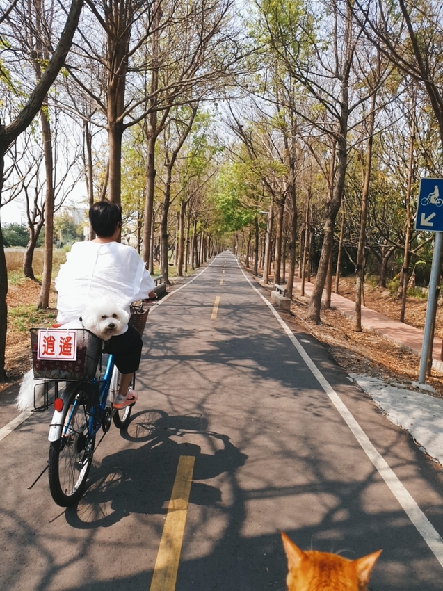 246770.jpg - 【台中.神岡區】潭雅神綠園道自行車。推逍遙鐵馬租車店。有親子車可載中型犬+協力車超好騎上坡都沒問題