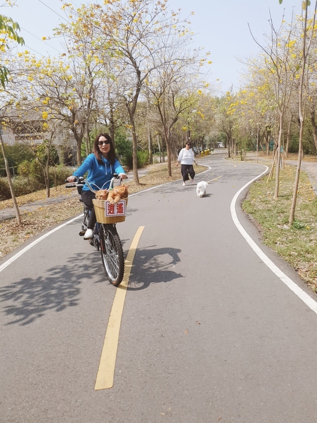 246777.jpg - 【台中.神岡區】潭雅神綠園道自行車。推逍遙鐵馬租車店。有親子車可載中型犬+協力車超好騎上坡都沒問題