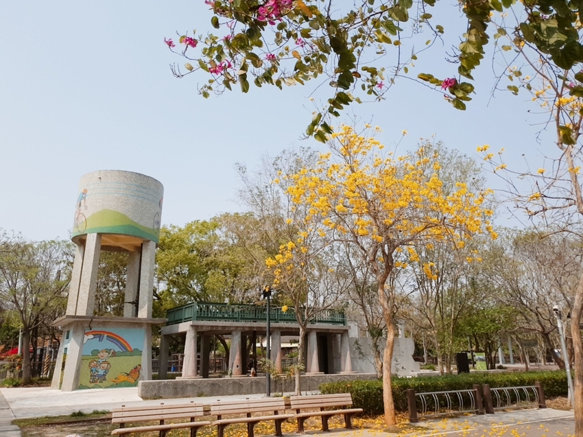 246743.jpg - 【台中.神岡區】潭雅神綠園道自行車。推逍遙鐵馬租車店。有親子車可載中型犬+協力車超好騎上坡都沒問題