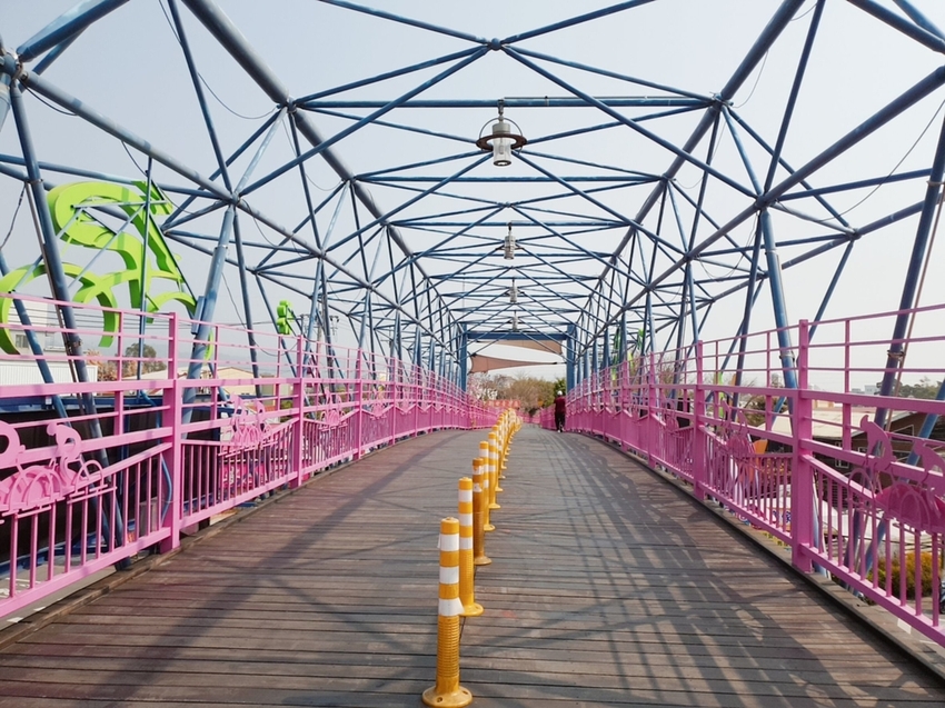 246748.jpg - 【台中.神岡區】潭雅神綠園道自行車。推逍遙鐵馬租車店。有親子車可載中型犬+協力車超好騎上坡都沒問題