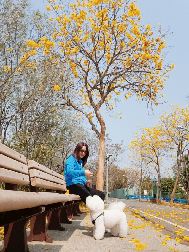 246757.jpg - 【台中.神岡區】潭雅神綠園道自行車。推逍遙鐵馬租車店。有親子車可載中型犬+協力車超好騎上坡都沒問題