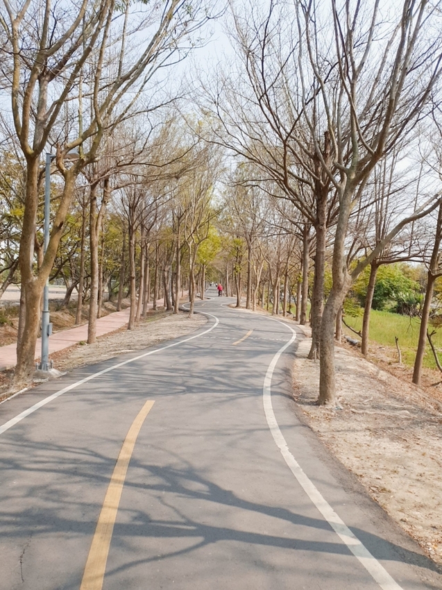 246754.jpg - 【台中.神岡區】潭雅神綠園道自行車。推逍遙鐵馬租車店。有親子車可載中型犬+協力車超好騎上坡都沒問題