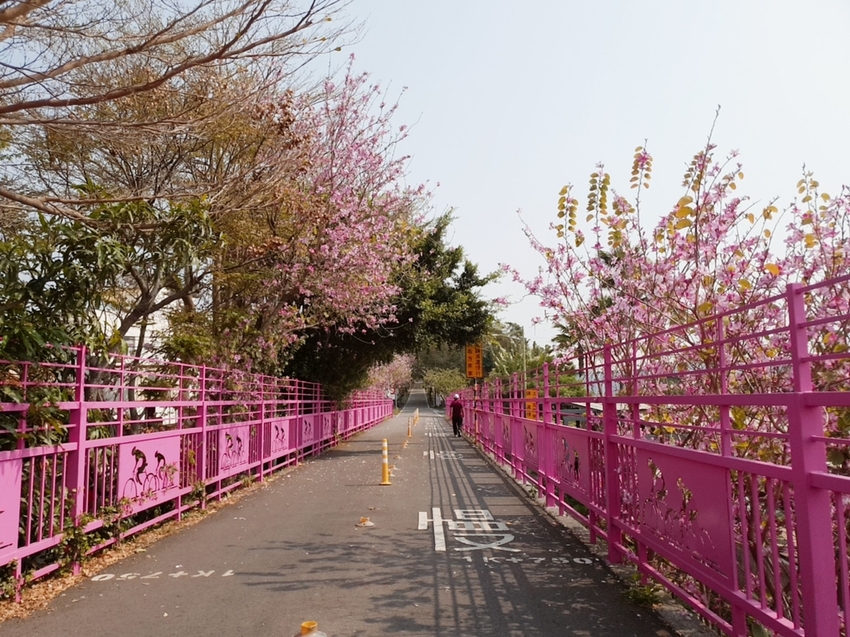 246747.jpg - 【台中.神岡區】潭雅神綠園道自行車。推逍遙鐵馬租車店。有親子車可載中型犬+協力車超好騎上坡都沒問題