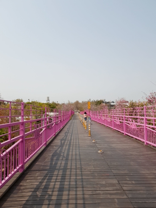 246750.jpg - 【台中.神岡區】潭雅神綠園道自行車。推逍遙鐵馬租車店。有親子車可載中型犬+協力車超好騎上坡都沒問題