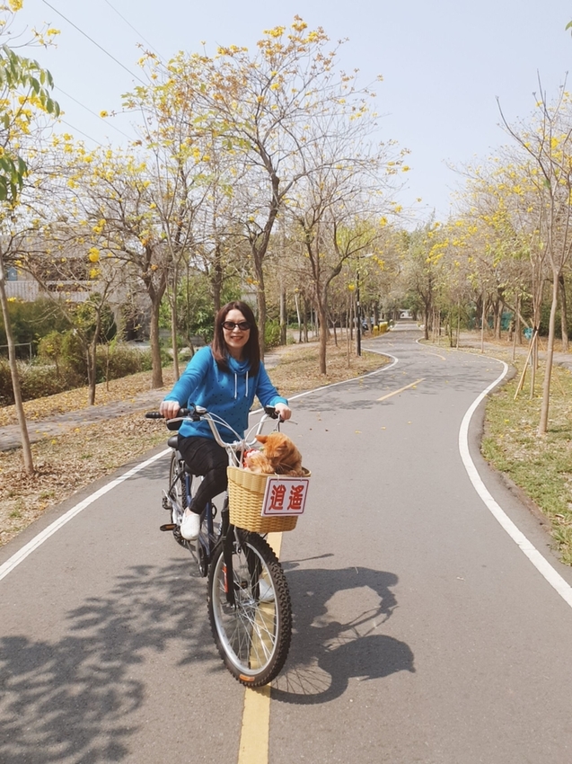 246776.jpg - 【台中.神岡區】潭雅神綠園道自行車。推逍遙鐵馬租車店。有親子車可載中型犬+協力車超好騎上坡都沒問題
