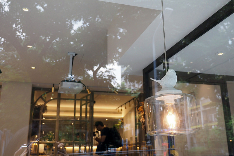 Chubby Bird County Chubby Bird County