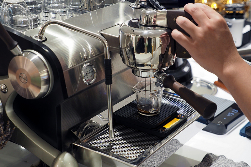 Chubby Bird County Chubby Bird County