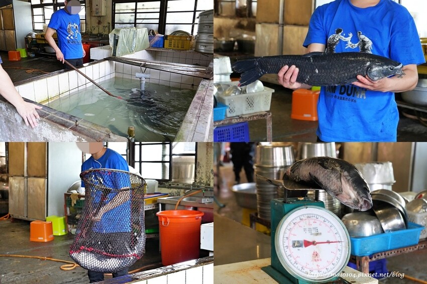 桃園石門活魚|十一份活魚餐廳~活魚一魚多吃,現抓現煮、餐點平價份量十足,聚餐首選,附停車場、免服務費