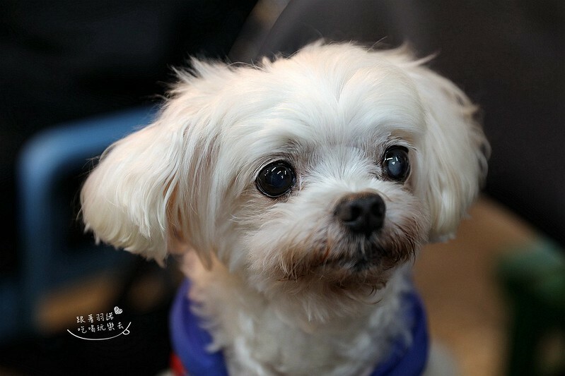 阿榮燒烤信義區北醫吳興商圈下酒宵夜深夜食堂88 阿榮燒烤信義區北醫吳興商圈下酒宵夜深夜食堂88