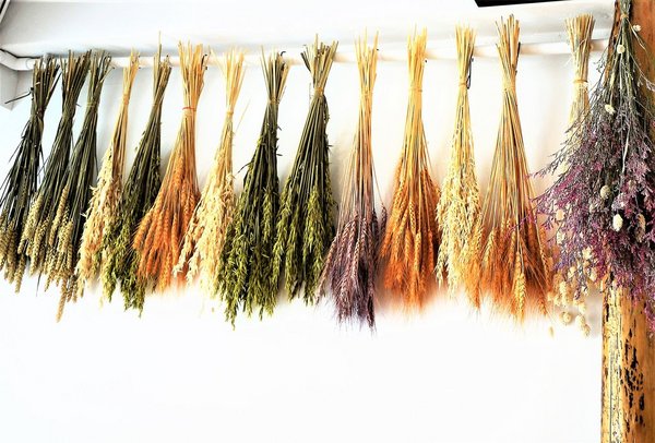 R. mosu沐蔬輕食尚:【雙連蔬食早午餐】 R. mosu沐蔬輕食尚.天然食材 / 蔬食新潮流.清爽無負擔料理