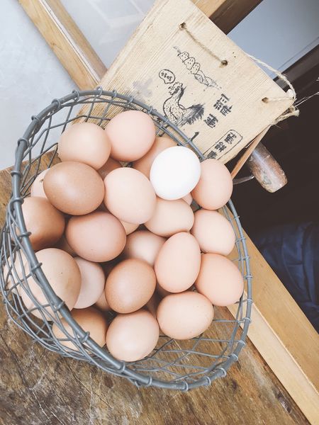 kurashi蛋餅早餐-6.JPG kurashi蛋餅早餐-6.JPG