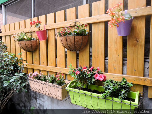 士林舊家咖啡 (9).jpg