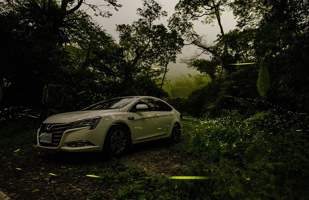 [南投]螢火蟲季 竹山住宿推薦 望際回家 民宿老闆的私房賞螢景點