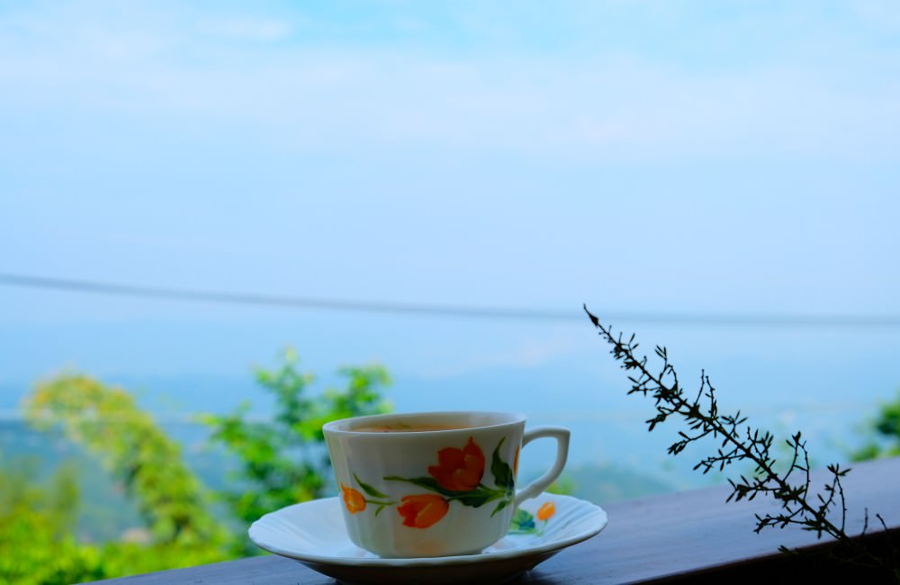 [南投]螢火蟲季 竹山住宿推薦 望際回家 民宿老闆的私房賞螢景點