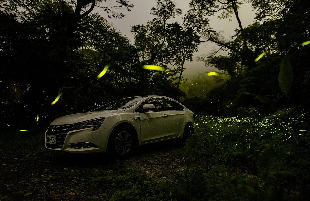 [南投]螢火蟲季 竹山住宿推薦 望際回家 民宿老闆的私房賞螢景點