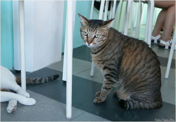 IMG_5128.JPG IMG_5128.JPG