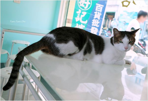 IMG_5117.JPG IMG_5117.JPG