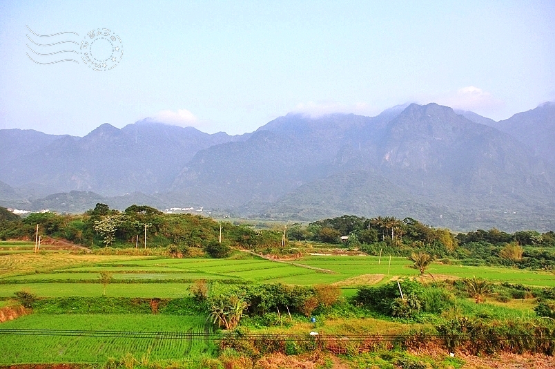【尬金包】:花蓮豐濱鄉隱藏版阿美族部落美食