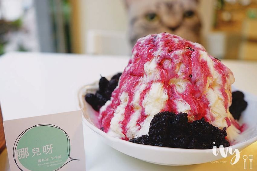 哪兒啊|澎湖隱藏版平價下午茶冰品，季節限定桑葚雪花冰綿密又酸甜!
