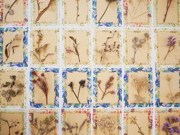 伍伍零-咖啡與餐：伍伍零-咖啡與餐-台北芝山站巷弄內精緻好店  從裝潢、服務到餐點  都是值得再訪的好店