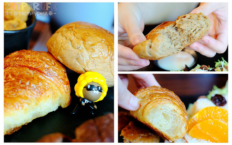  @強生與小吠的Hyper人蔘~