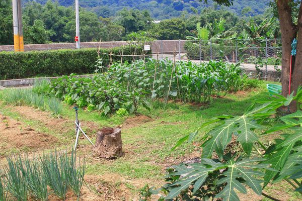 【新竹美食】擺擺桌私廚料理餐廳-1個禮拜只開二天,沒預約可能吃不到的神秘餐廳