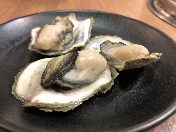 ●嘉義食記●好客燒烤/嘉義秀泰店/吃到飽推薦/超高cp值/嘉義燒肉/聚餐飽足好去處