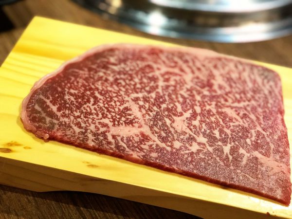 ●嘉義食記●好客燒烤/嘉義秀泰店/吃到飽推薦/超高cp值/嘉義燒肉/聚餐飽足好去處