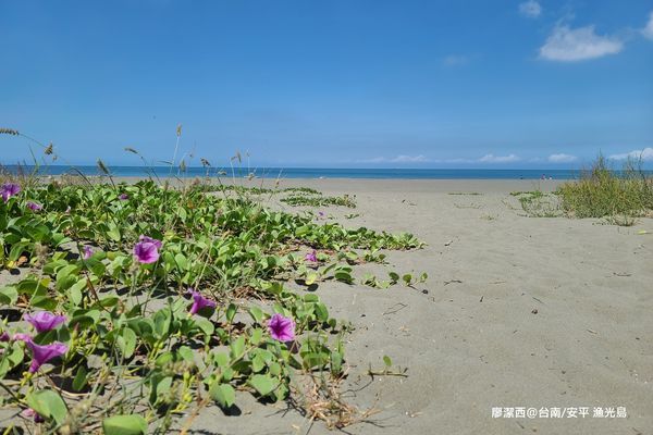 【台南/安平區】漁光島