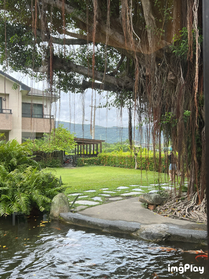 【花蓮住宿■花蓮吉安】金澤居民宿 x 好山好水好空氣,還有腳