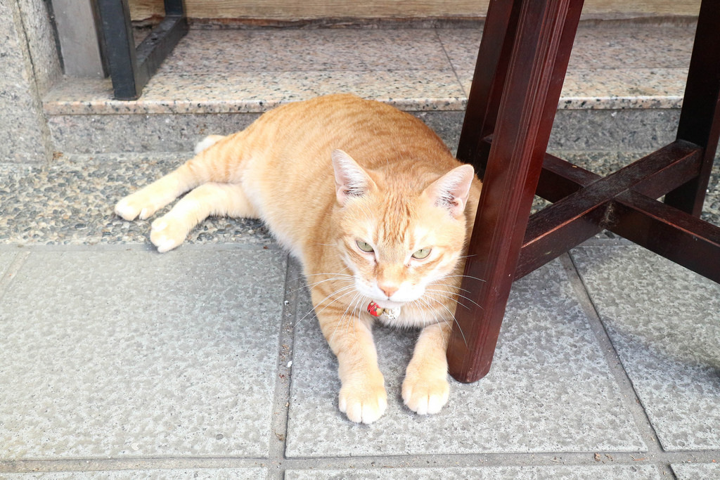 樂迷樂 love me love (5)