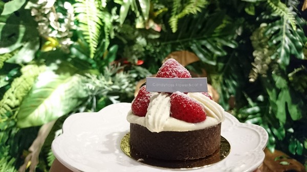 CandyFloss Flower&Caf'e 棉花糖花藝·甜點·下午茶:高雄~CandyFloss Flower&Caf'e 棉花糖花藝·甜點·下午茶~超好拍旋轉木馬、花藝裝飾~夢幻系餐廳~適合情侶約會的好地方~