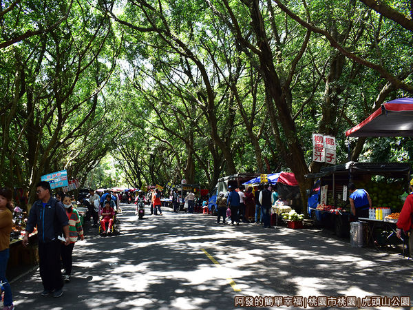 虎頭山公園33-三聖路.JPG
