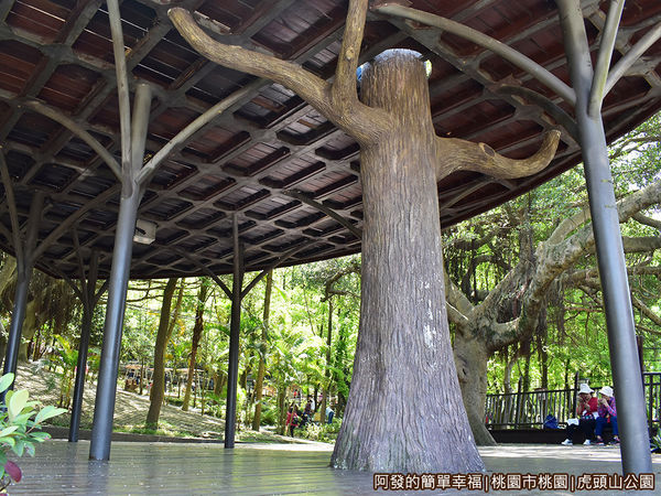 虎頭山公園16-樹屋下的大涼亭.JPG