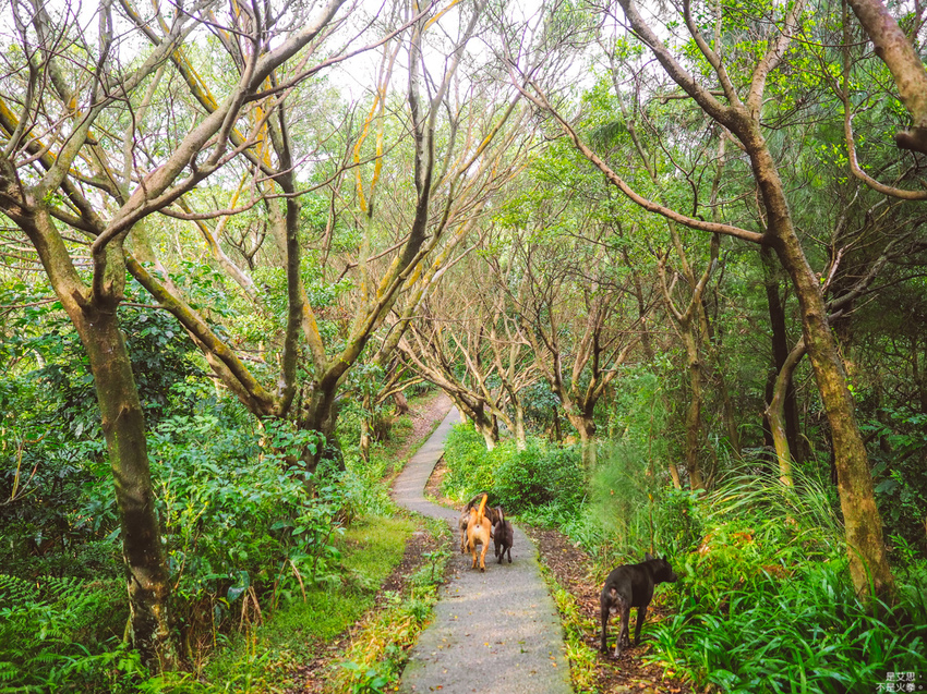 HUTOR-49.jpg HUTOR-49.jpg